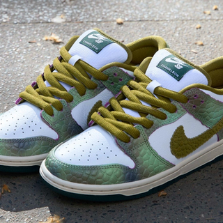 Nike SB QS Dunk Low PRO “Chameleon”