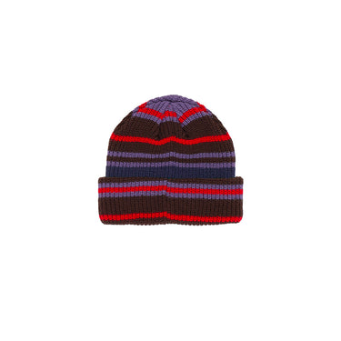 Striped Beanie (Multicolour)