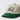 Bicycle Logo 6 Panel Hat (Green)